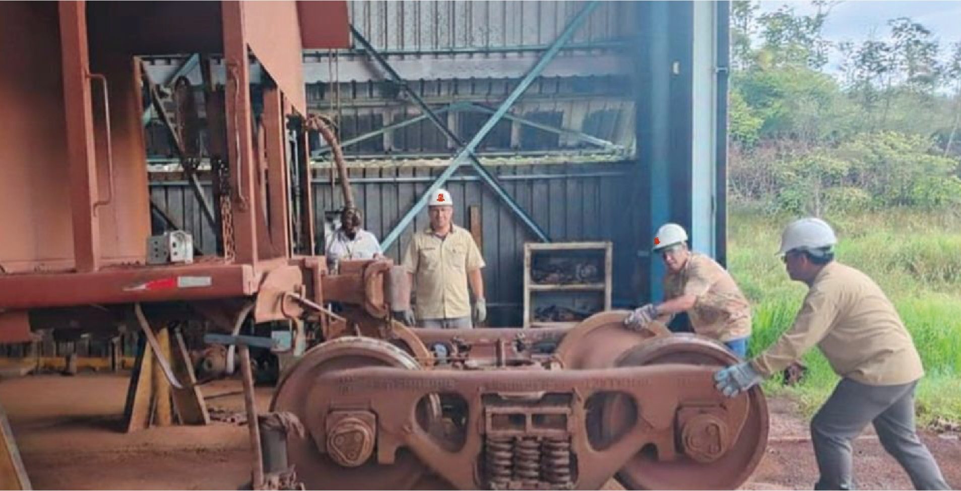 FERROMINEROS INCORPORARON 111 VAGONES A LA FLOTA DE LA INDUSTRIA